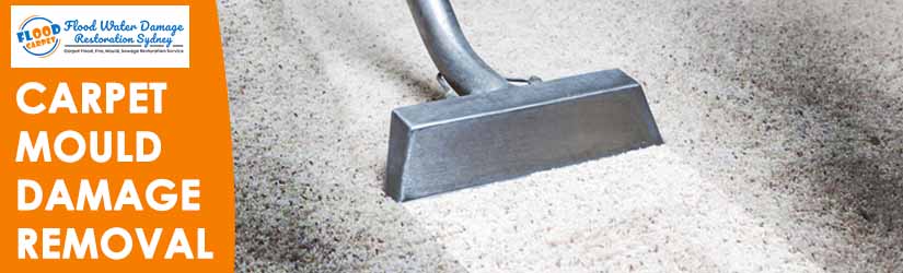 Carpet Mould Damage Removal Sydney