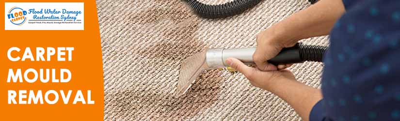 Carpet Mould Removal Service Sydney