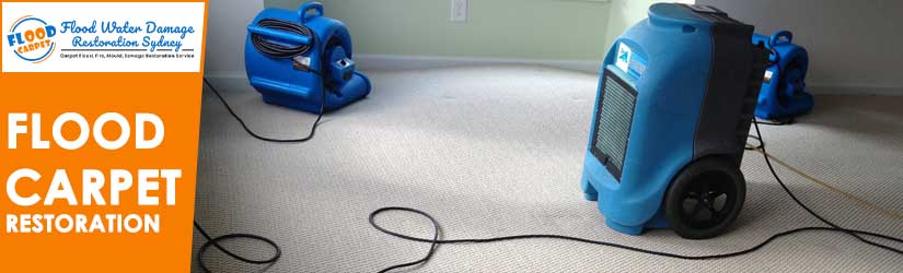 Flood Carpet Restoration Sydney